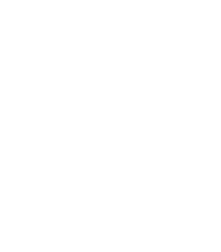 WebMax Logo